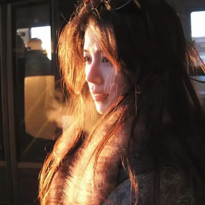 科搜研之女2022